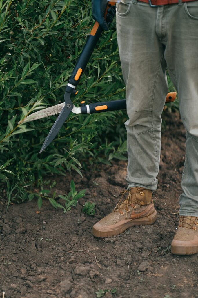 A gardener using large shears to trim bushes, highlighting rustic boots and casual attire.