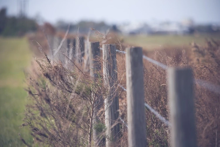 Efficient Fence Line Clearing Services | Lawnmax Land and Garden Care Overgrown vegetation and weeds along a rural wooden fence line needing clearing.