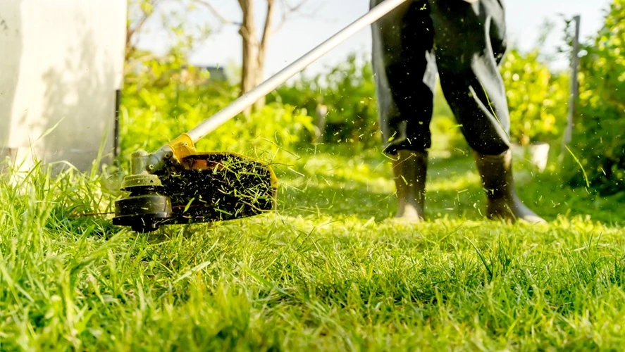 Lawnmax trimming grass with a yellow string trimmer in a sunny garden