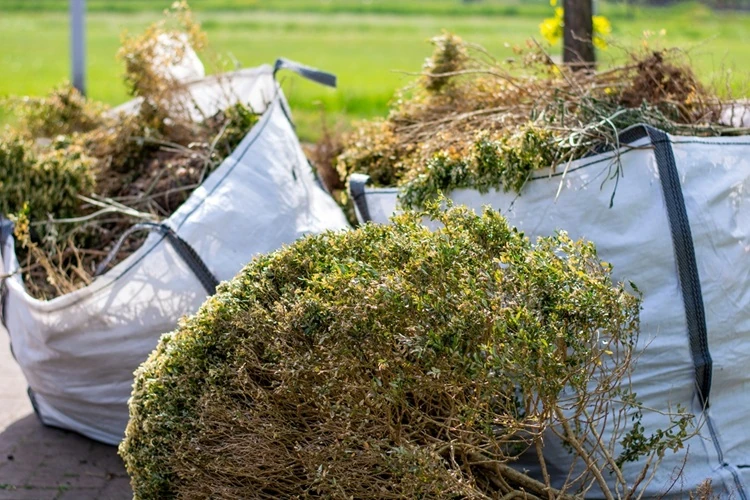 big-white-bags-filled-organic-green-waste-500px Large white bags filled with garden waste and trimmed shrubs ready for disposal