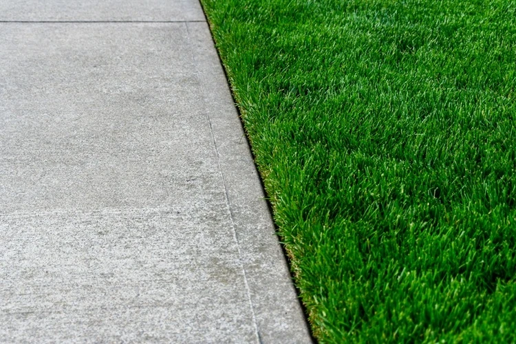 Close-up of a lawnmax clean edged green lawn next to a smooth concrete pavement