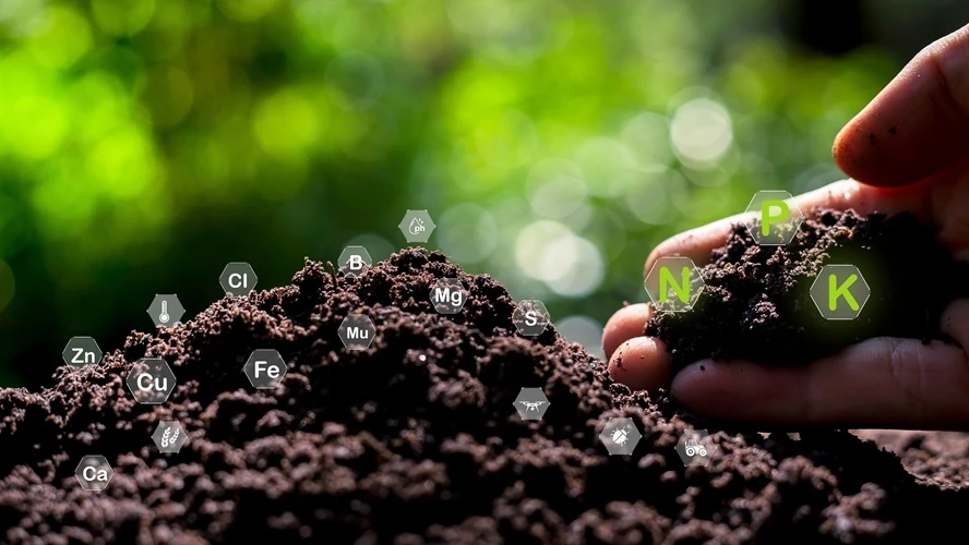 Hand holding rich soil with icons representing essential plant nutrients like Nitrogen, Phosphorus, Potassium