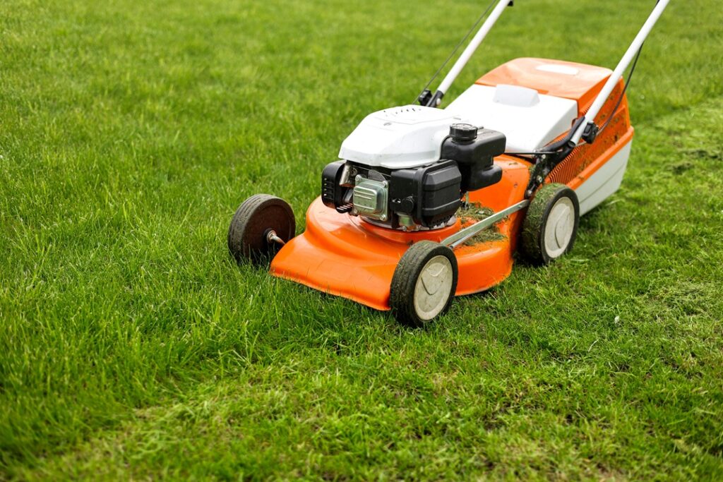 Orange and white petrol lawn mower cutting freshly grown green grass