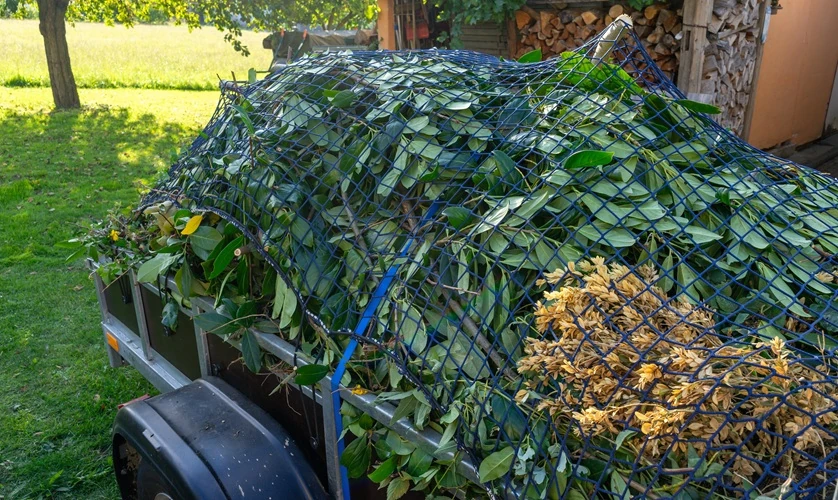 trailer-garden-waste-autumn-500px Loaded trailer covered with netting carrying garden waste and trimmed branches for removal.