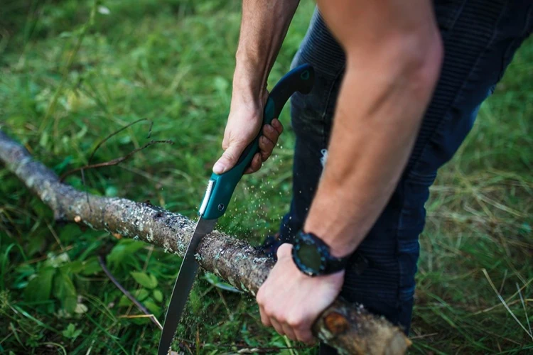 Person using a hand saw to cut up a tree and remove stump