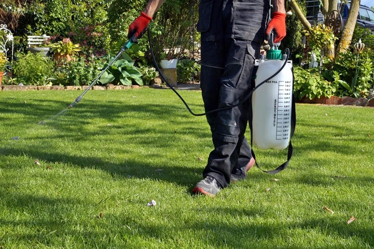 Lawnmax spraying lawn with professional pesticide sprayer for weed and pest control