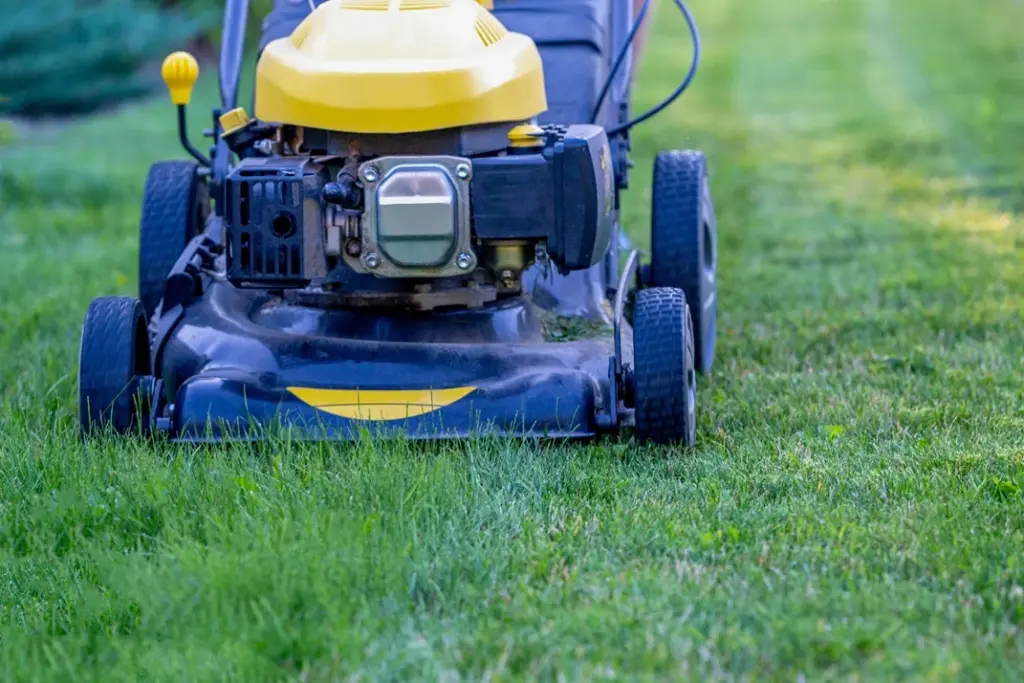 Close-up of a yellow and black lawn mower cutting green grass in a residential garden